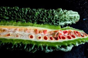 Bitter Gourd Plant