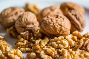 walnut tree india