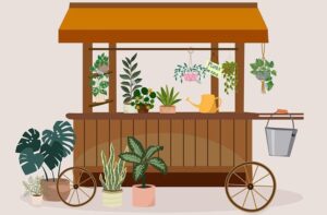 plant nursery rajahmundry