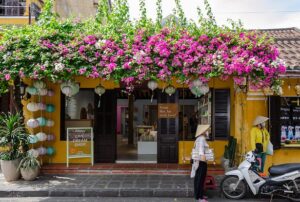 Creeper Plant in India