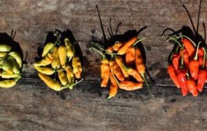 Scoville Units Scale