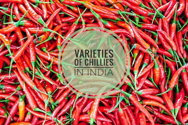 Varieties of chillies in India