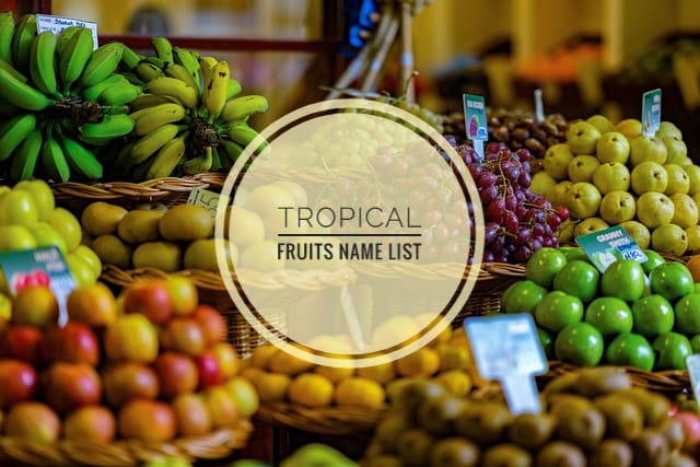 Tropical fruits name list