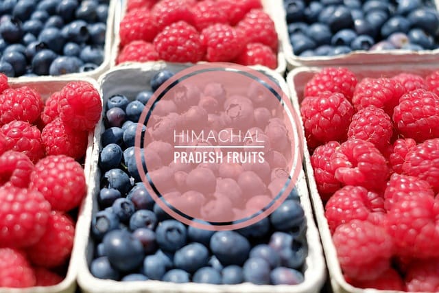Himachal Pradesh Fruits