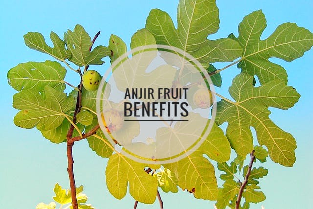 Anjeer health benefits