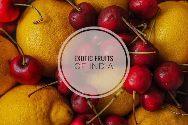 Exotic Fruits of India