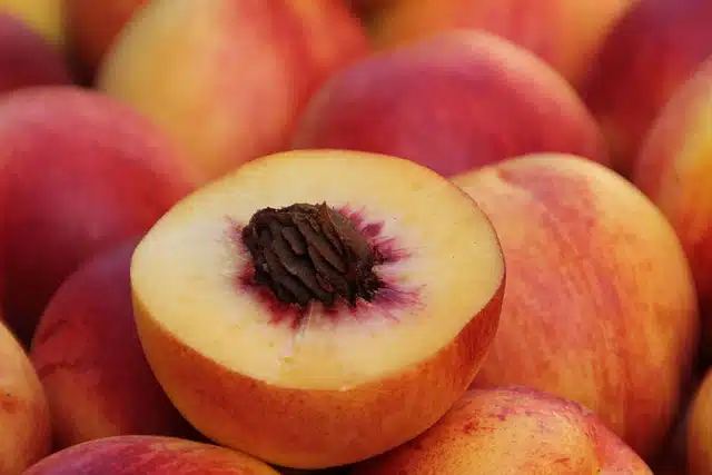 peach fruit