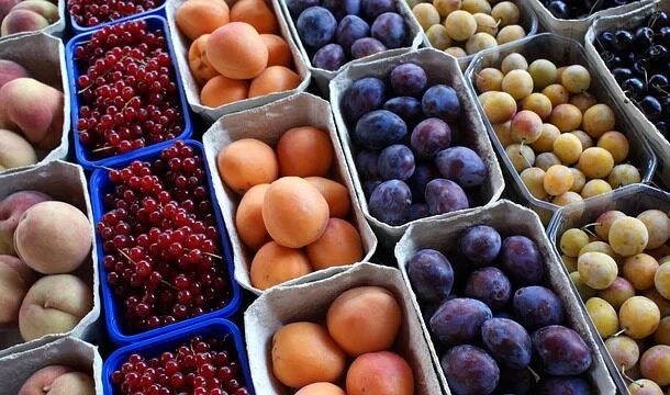 What Is a Stone Fruit